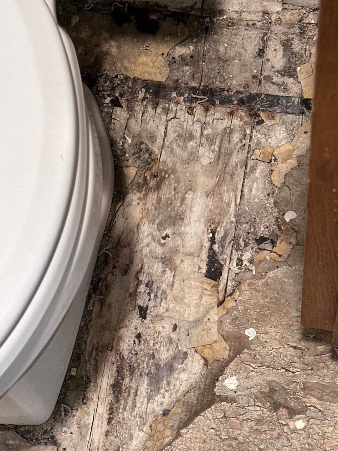 Bathroom Floor Damage